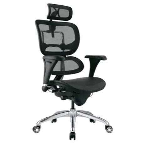 ERGOHUMAN ECO Silla de Oficina Presidente Ergonómica