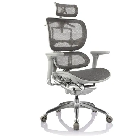 ERGOHUMAN LUJO Silla de Oficina Presidente Ergonómica