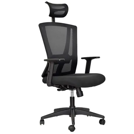WINNER Silla de Oficina Presidente Ergonómica